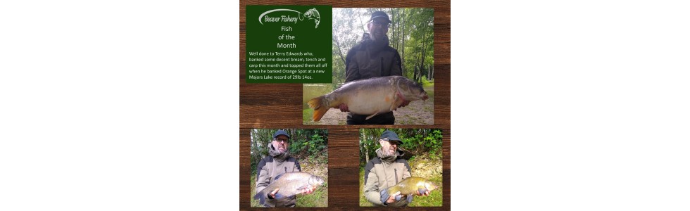 Fish of the Month June